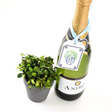 Sold Out - Topiary Bottle Tags
